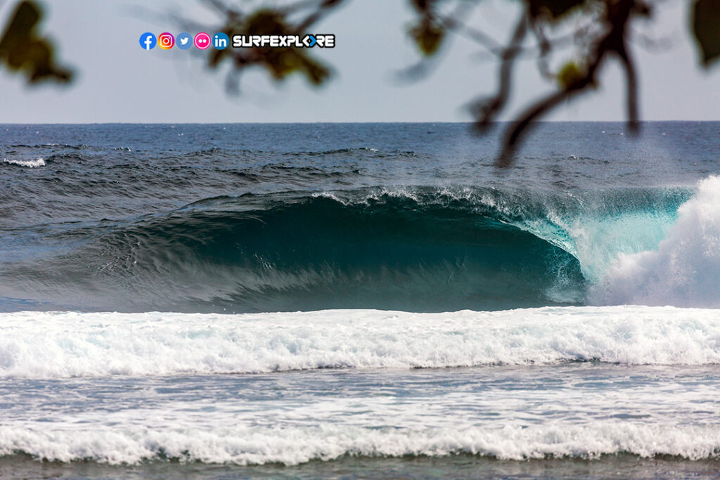 Surfexplore