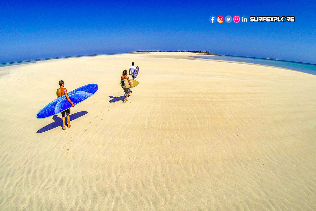 Surfexplore